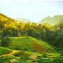 Assam